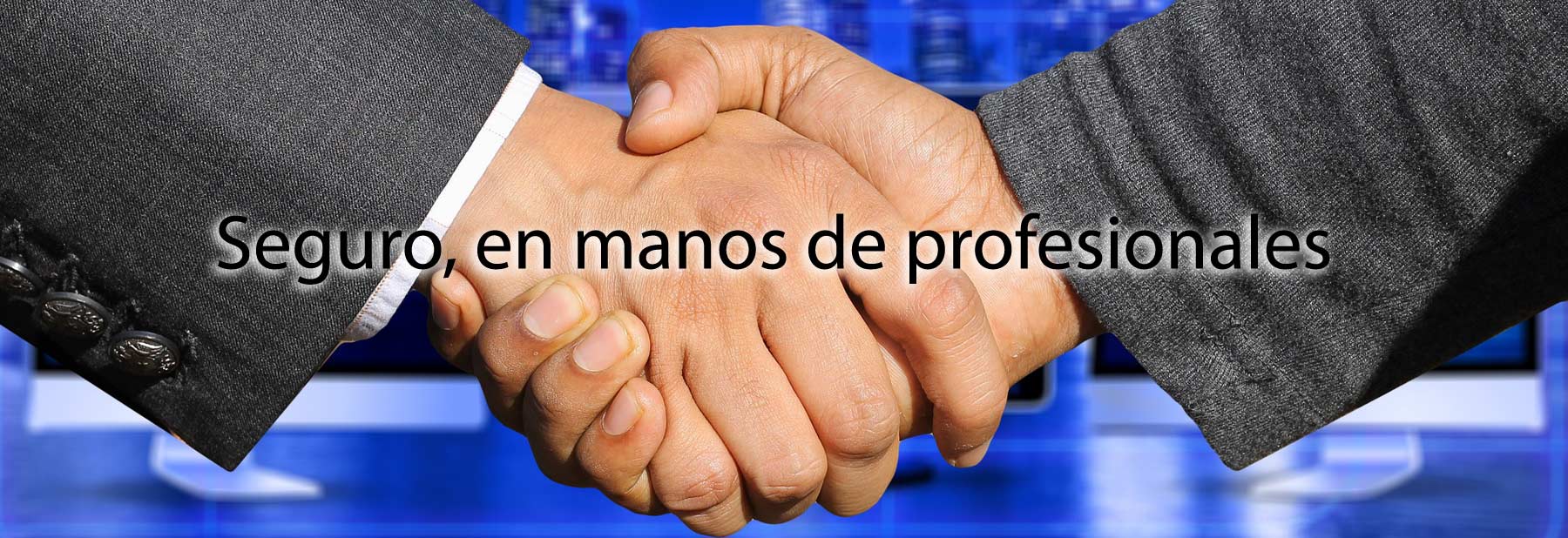 Imagen de sección